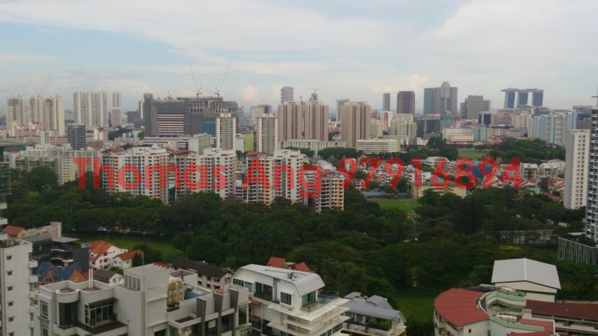 Soleil @ Sinaran (D11), Condominium #88391252